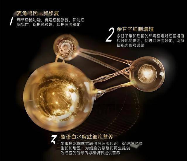 定州举办“双争”活动擂台赛“提质提效文明服务”专场